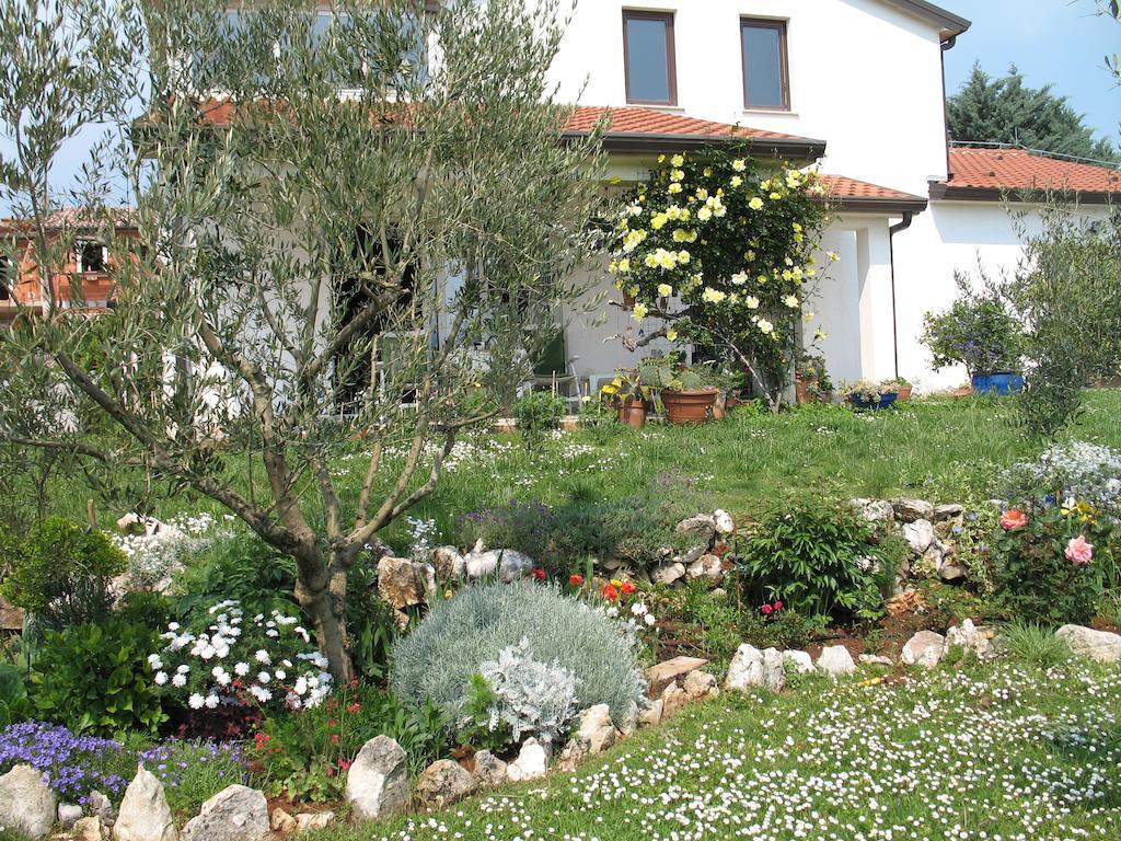 Apartment Mira Umag